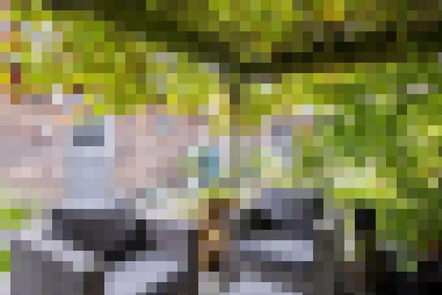 Hoogzijde 50 Marknesse thumbnail 43
