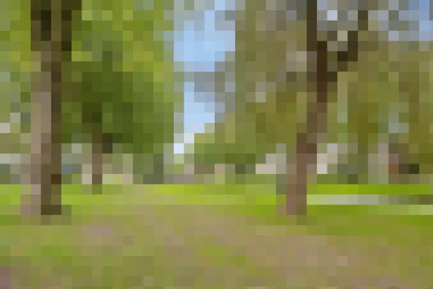 Hoogzijde 50 Marknesse thumbnail 47