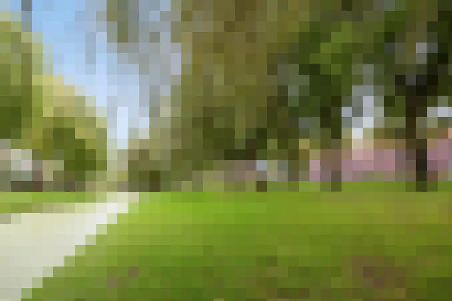 Hoogzijde 50 Marknesse thumbnail 48