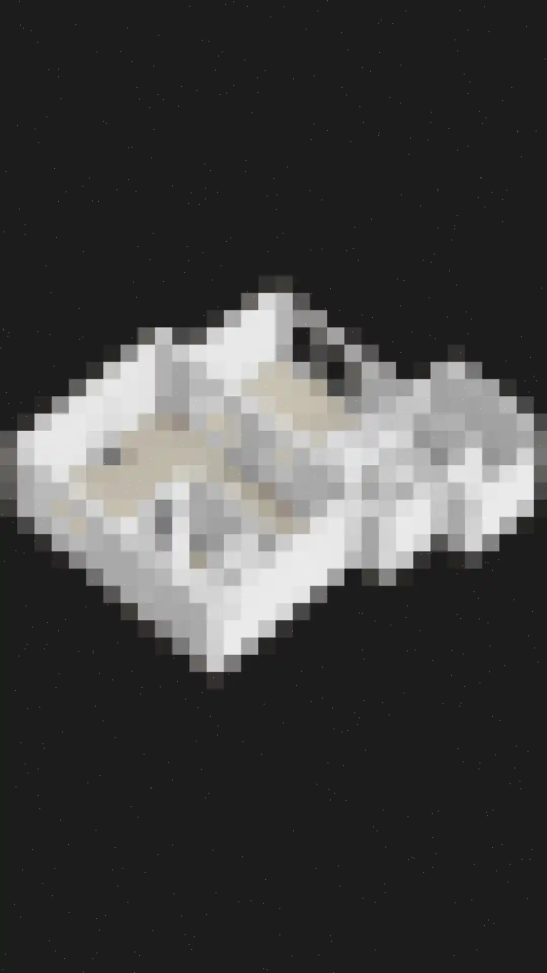Hoogzijde 50 Marknesse thumbnail 54