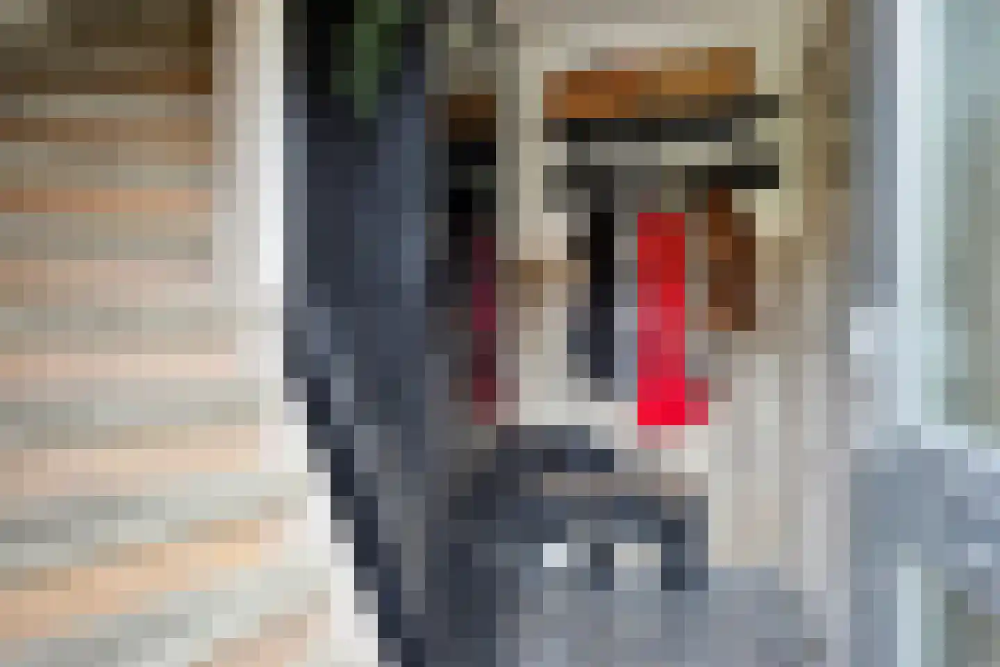 Hoogzijde 50 Marknesse thumbnail 6