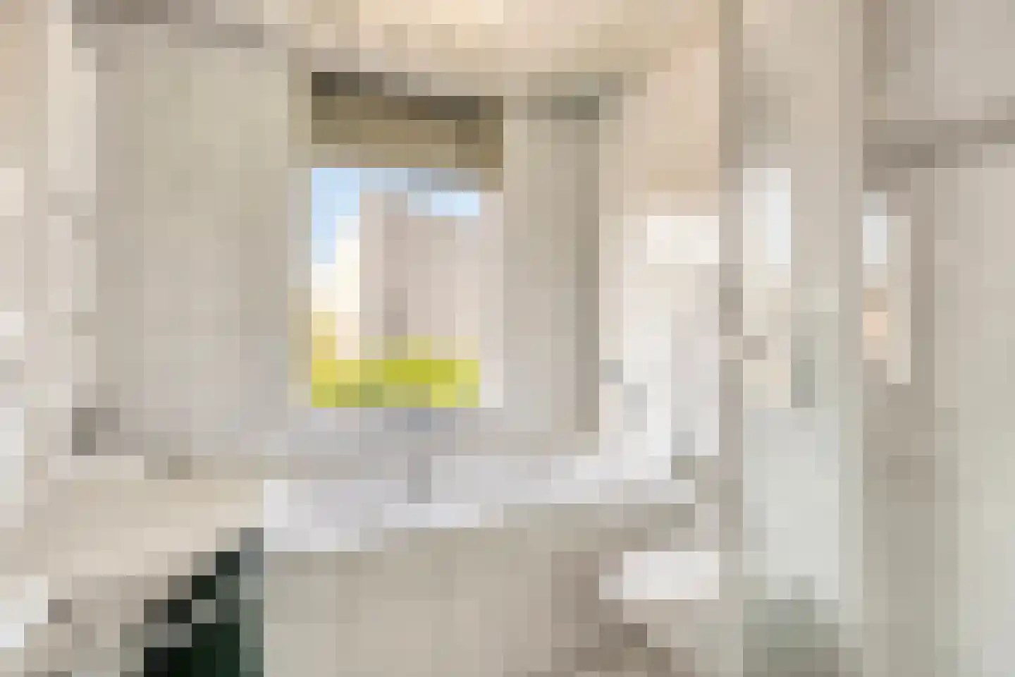 Hoogzoggel 73 Uden thumbnail 19