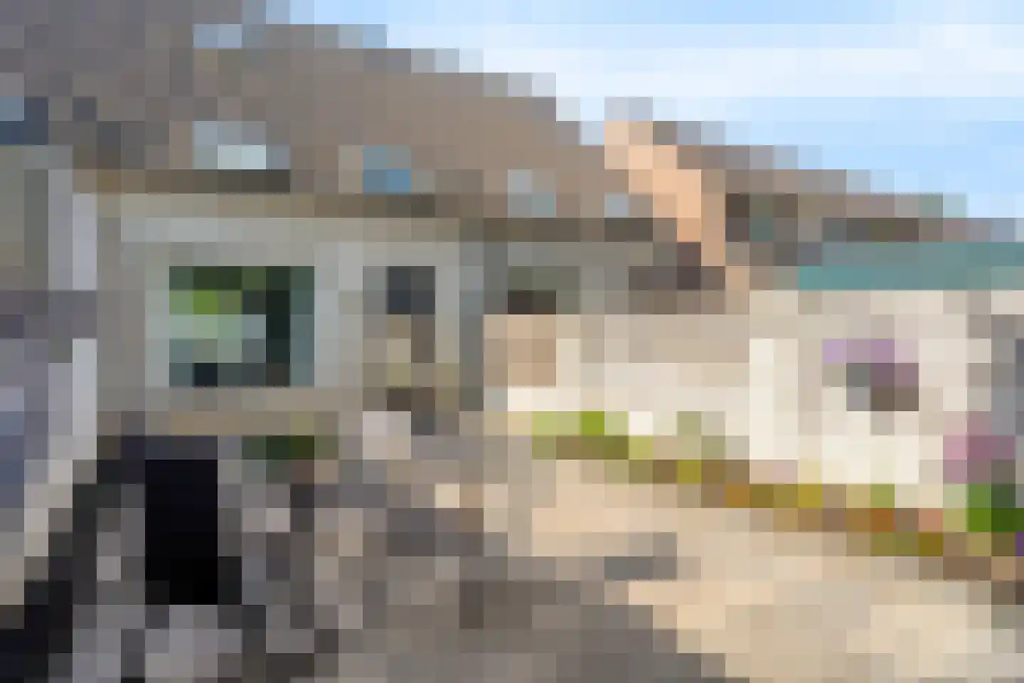 Hoogzoggel 73 Uden thumbnail 28