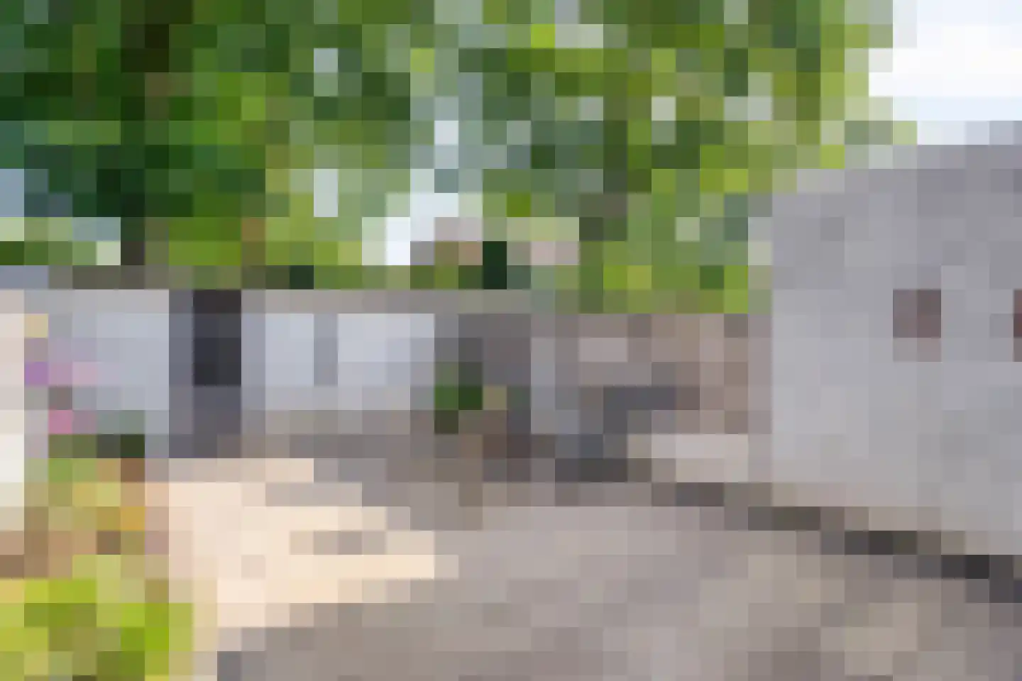 Hoogzoggel 73 Uden thumbnail 30