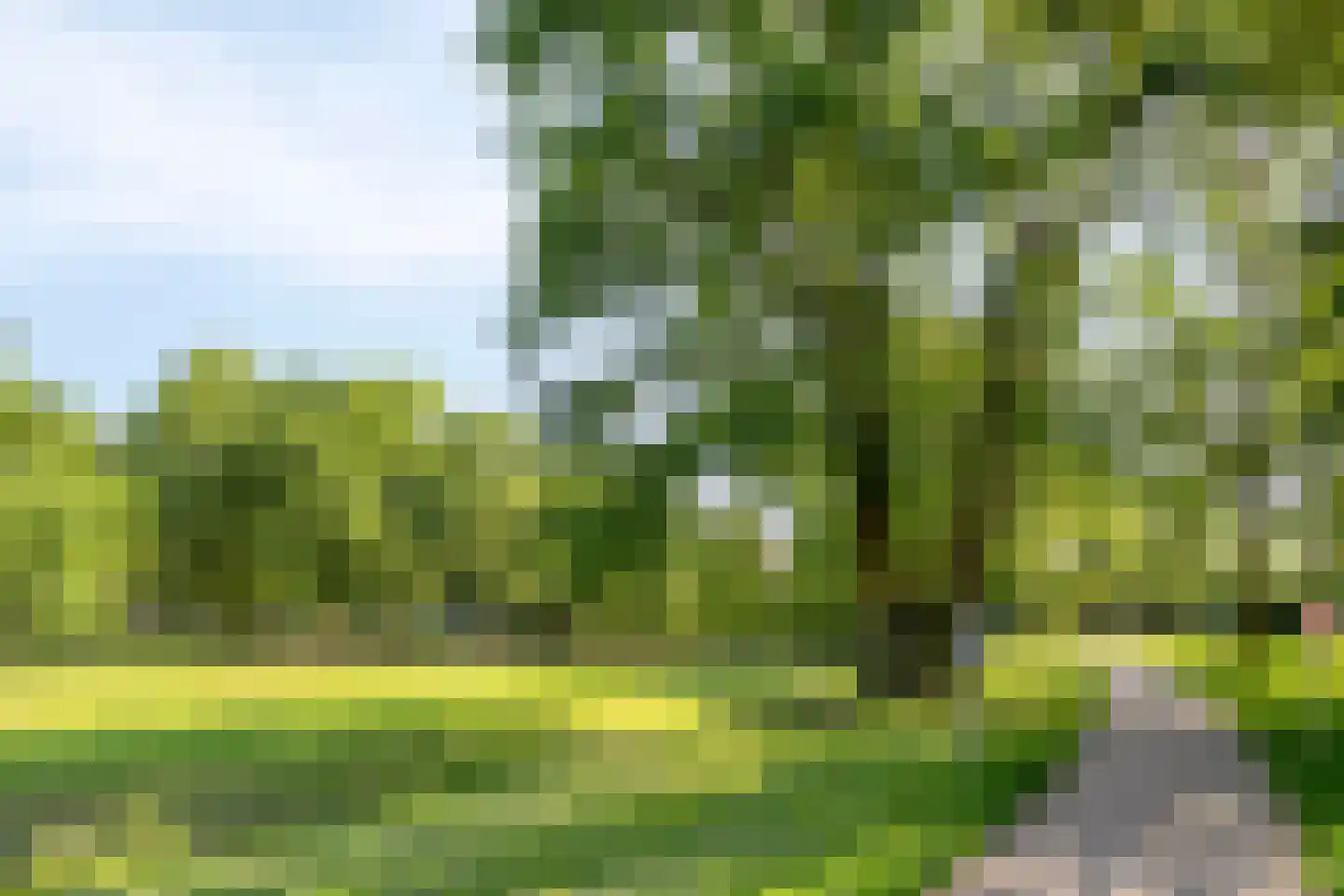 Hoogzoggel 73 Uden thumbnail 38