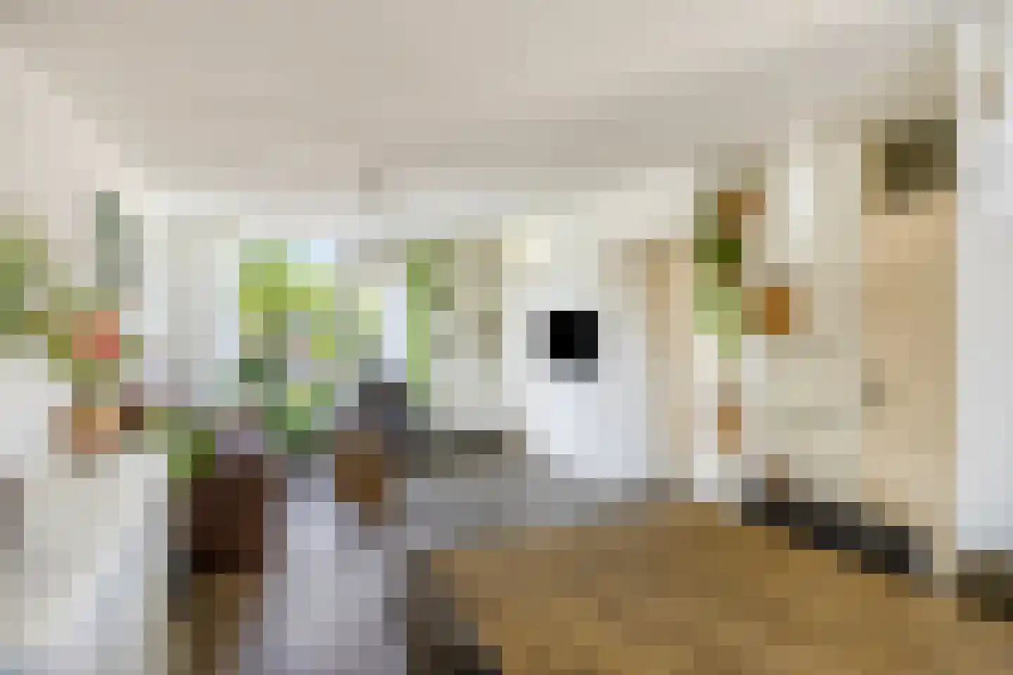 Hoogzoggel 73 Uden thumbnail 5
