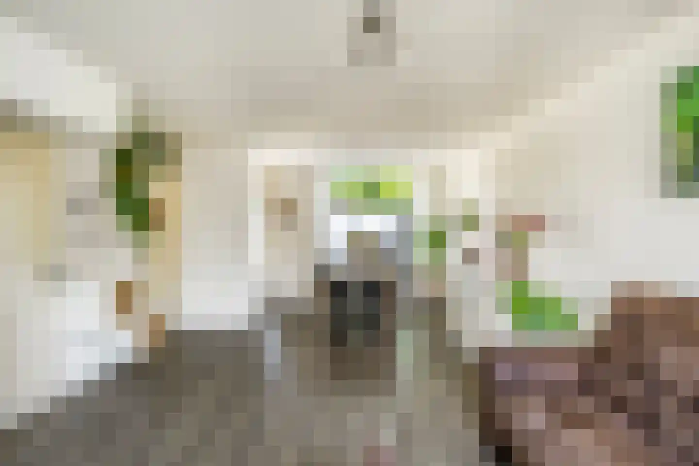 Hoogzoggel 73 Uden thumbnail 8