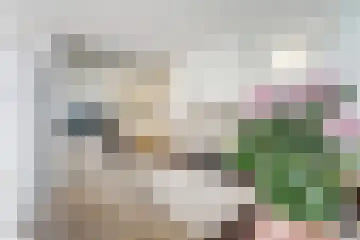 Hooi 6 Eersel thumbnail 13