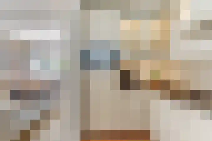 Hooi 6 Eersel thumbnail 18