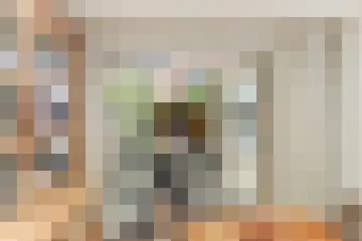 Hooi 6 Eersel thumbnail 20