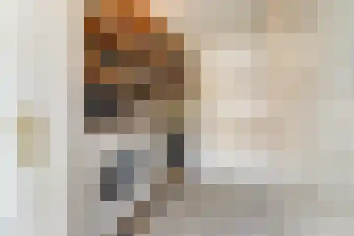 Hooi 6 Eersel thumbnail 22