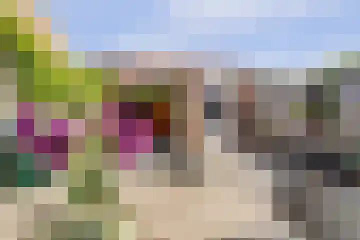 Hooi 6 Eersel thumbnail 40