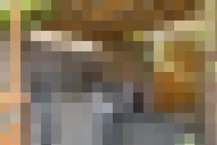 Hooi 6 Eersel thumbnail 41