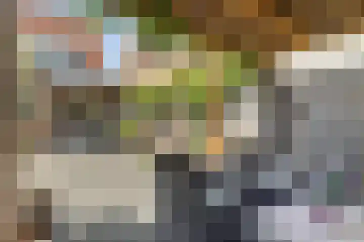 Hooi 6 Eersel thumbnail 42