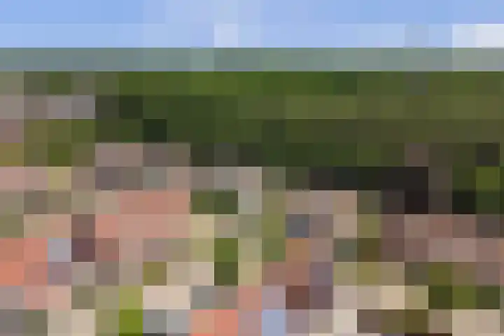 Hooi 6 Eersel thumbnail 46