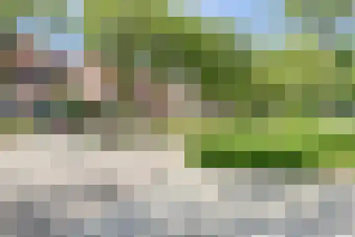 Hooi 6 Eersel thumbnail 48