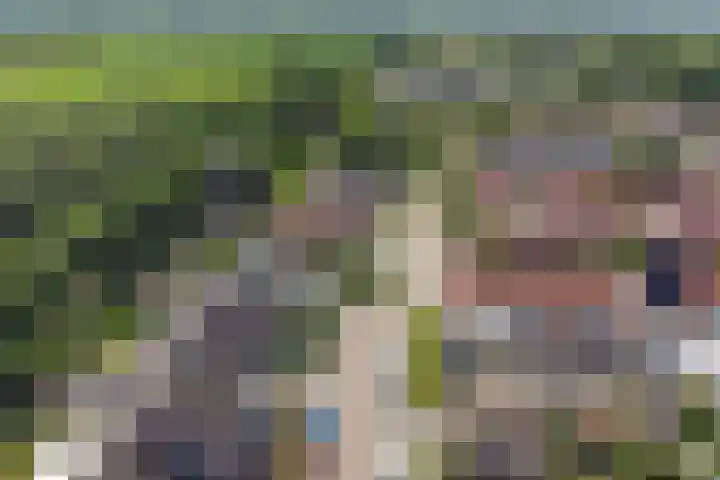 Hooi 6 Eersel thumbnail 49