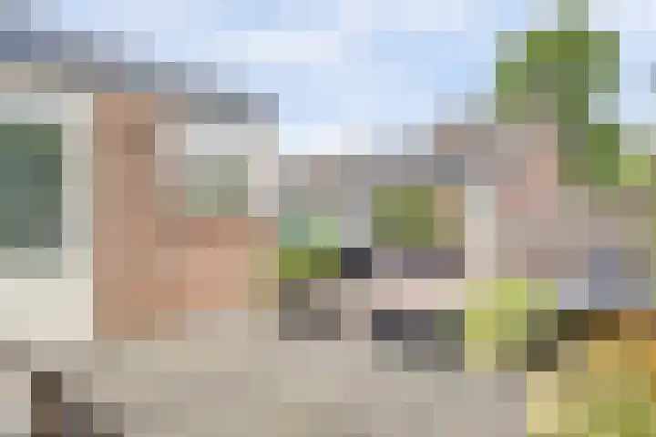Hooiakker 10 Noord-Scharwoude thumbnail 33