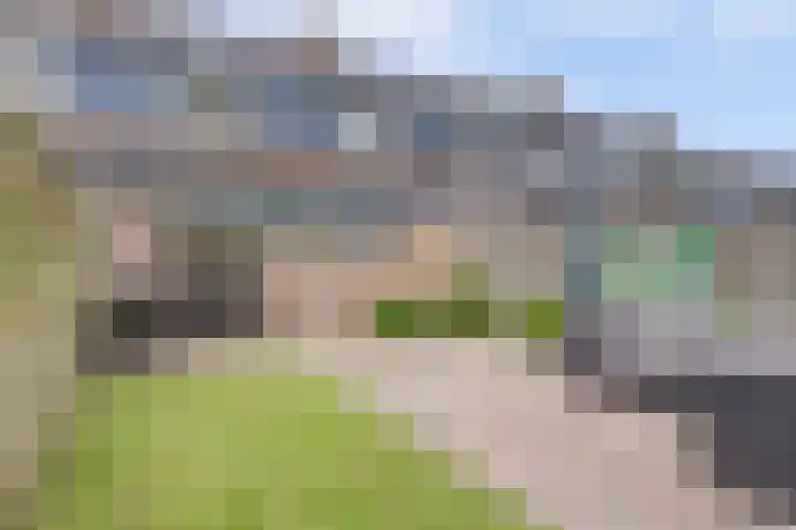 Hooiakker 10 Noord-Scharwoude thumbnail 38