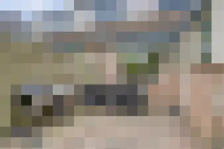 Hooiakker 10 Noord-Scharwoude thumbnail 39