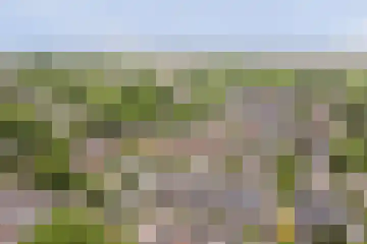 Hooiakker 10 Noord-Scharwoude thumbnail 40
