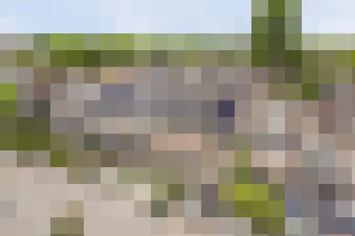 Hooiakker 10 Noord-Scharwoude thumbnail 41