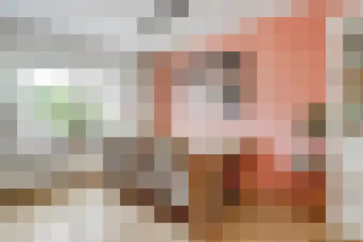 Hooiakker 10 Noord-Scharwoude thumbnail 9