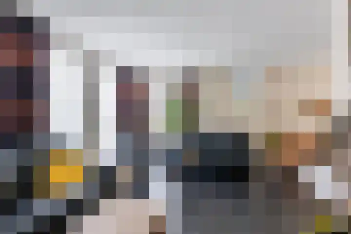 Hooiakker 11 Rijen thumbnail 13