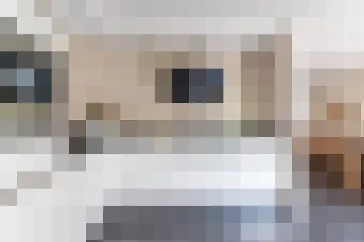 Hooiakker 11 Rijen thumbnail 17
