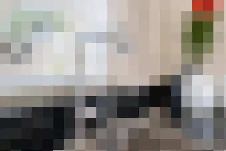 Hooiakker 11 Rijen thumbnail 18