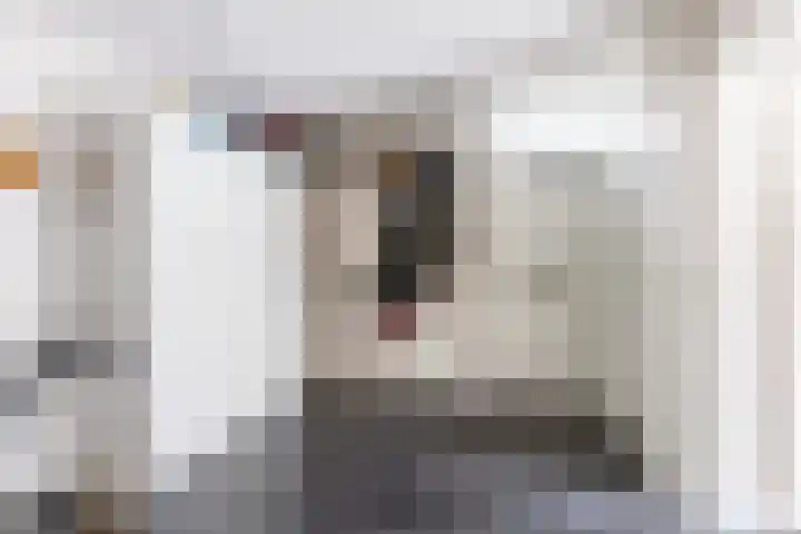 Hooiakker 11 Rijen thumbnail 22