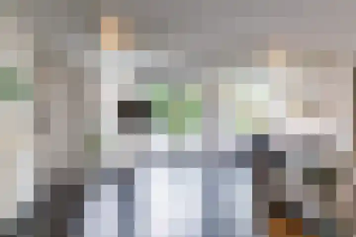 Hooiakker 11 Rijen thumbnail 24