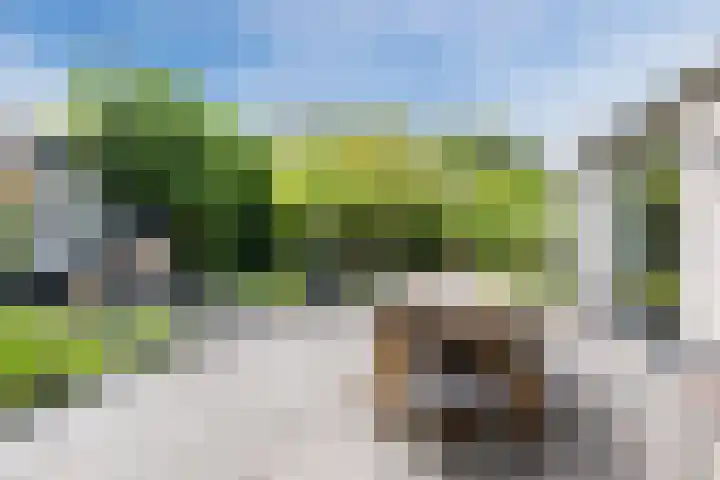 Hooiakker 11 Rijen thumbnail 28