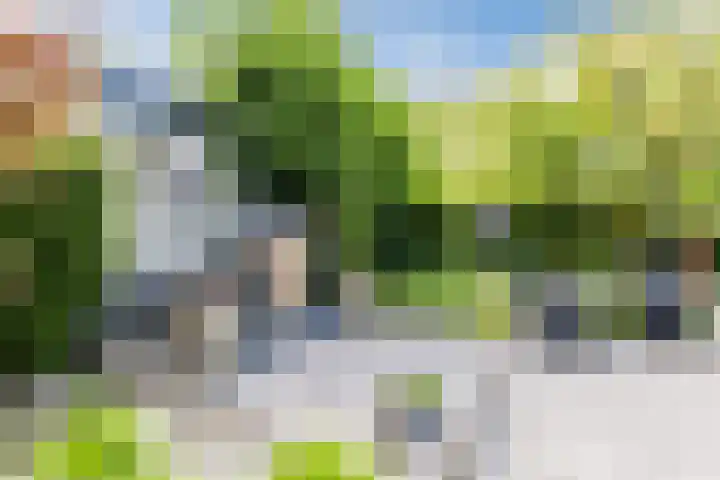 Hooiakker 11 Rijen thumbnail 29