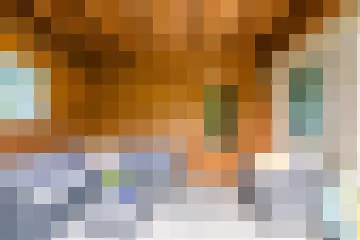 Hooiakker 11 Rijen thumbnail 31