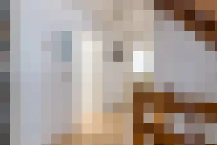 Hooiakker 11 Rijen thumbnail 33