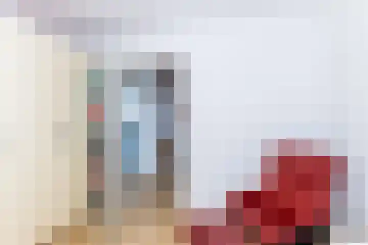 Hooiakker 11 Rijen thumbnail 41