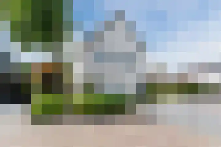 Hooiakker 11 Rijen thumbnail 5
