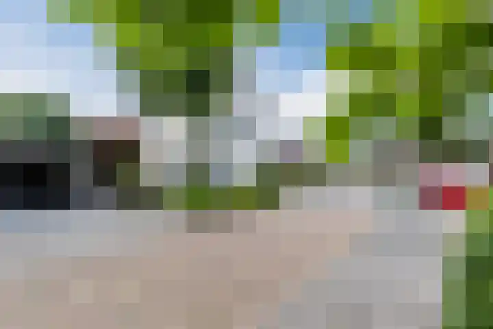 Hooiakker 11 Rijen thumbnail 7