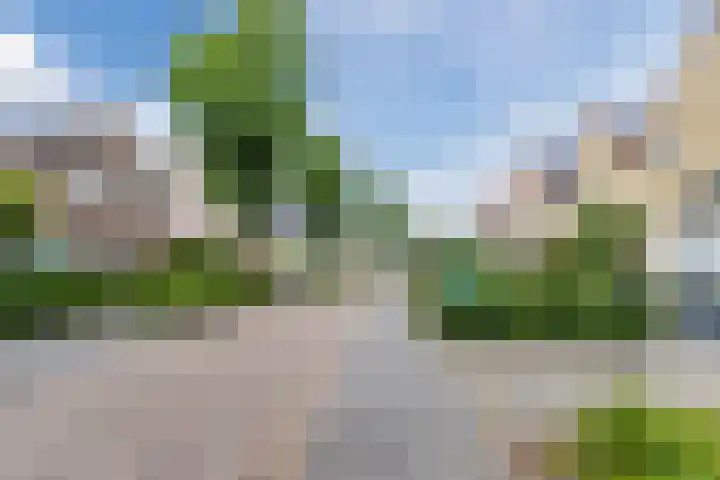 Hooiakker 11 Rijen thumbnail 8