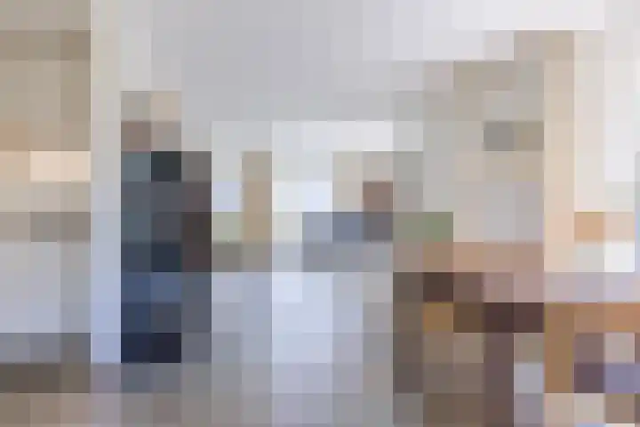 Hooiakker 3 Rijen thumbnail 12