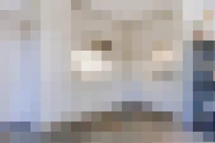 Hooiakker 3 Rijen thumbnail 13