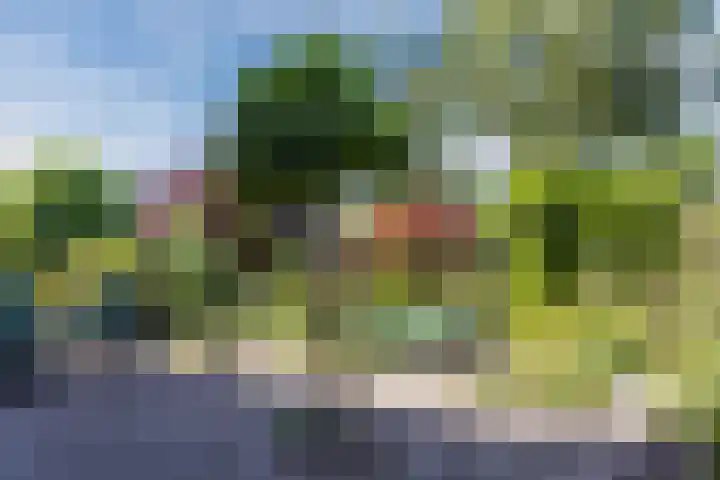 Hooiakker 3 Rijen thumbnail 15