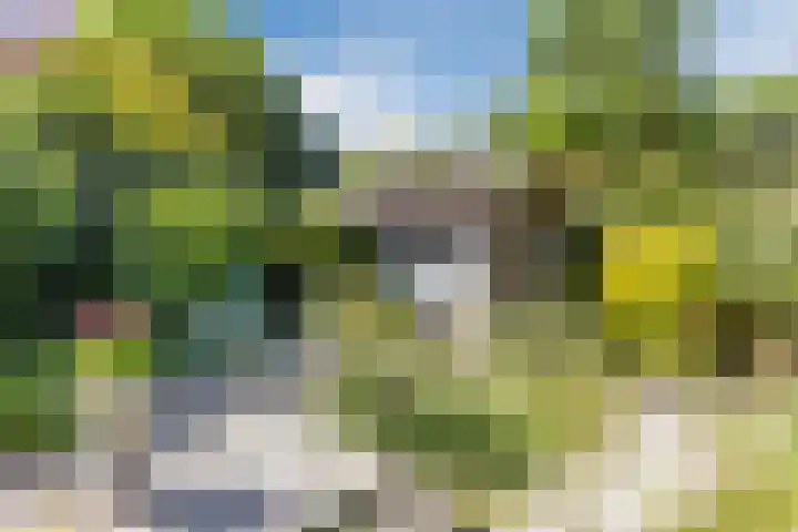 Hooiakker 3 Rijen thumbnail 19
