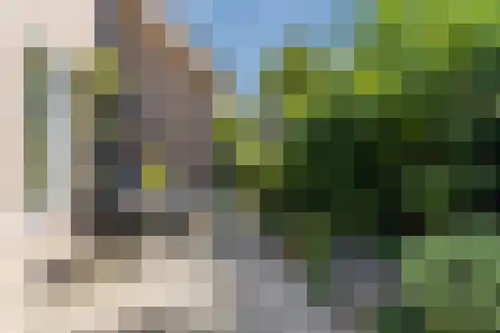 Hooiakker 3 Rijen thumbnail 20