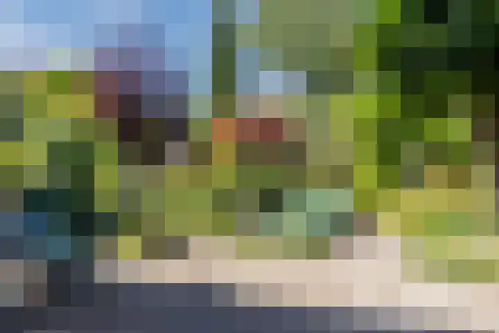 Hooiakker 3 Rijen thumbnail 21