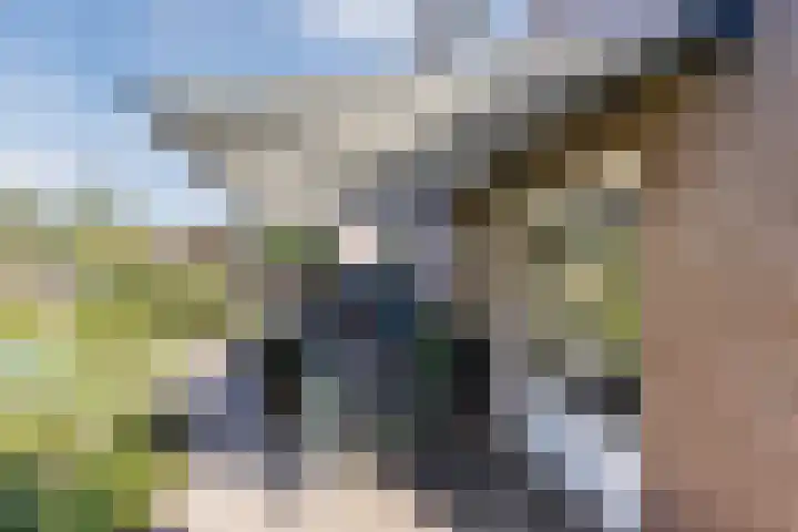 Hooiakker 3 Rijen thumbnail 22