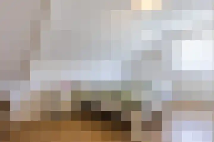 Hooiakker 3 Rijen thumbnail 25