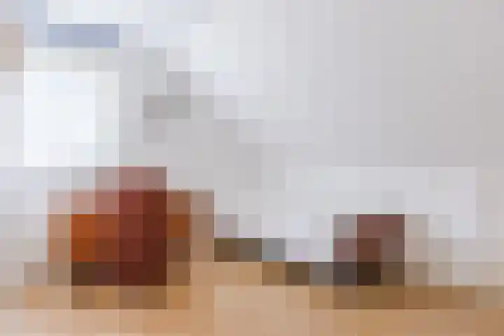 Hooiakker 3 Rijen thumbnail 29