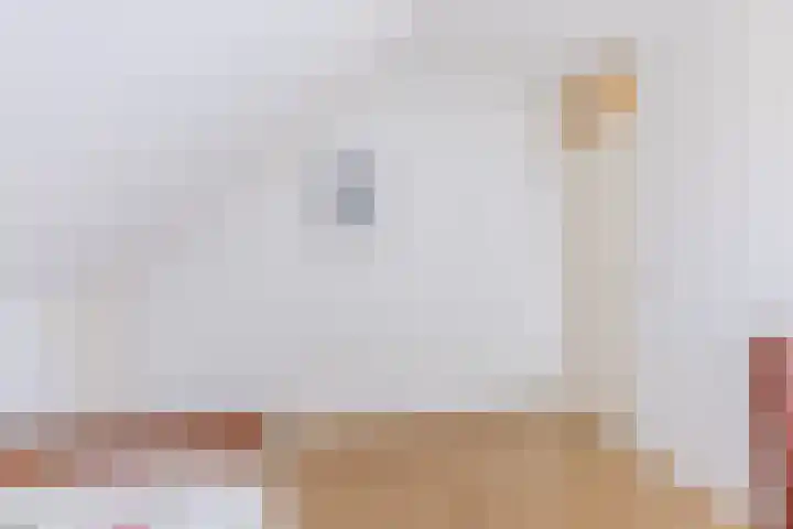 Hooiakker 3 Rijen thumbnail 30